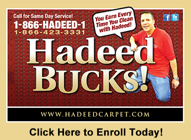 Hadeed Oriental Rug Cleaning Carpet Repair Reweaving Restoration Alexandria Fairfax Washington Dc Free Pick Up Delivery Truck Mounted Steam Cleaner For Wall To Best Good Local S